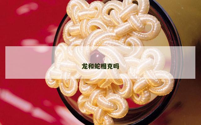 龙和蛇相克吗