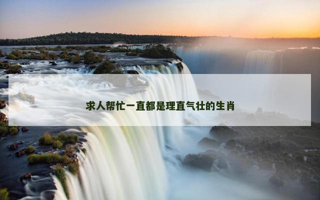 求人帮忙一直都是理直气壮的生肖
