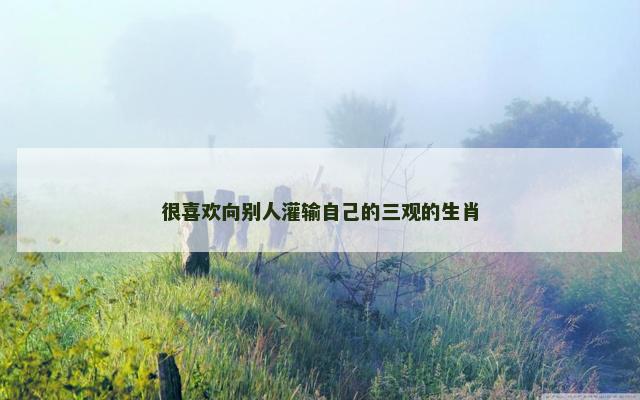 很喜欢向别人灌输自己的三观的生肖