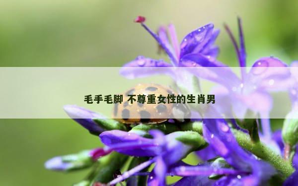 毛手毛脚 不尊重女性的生肖男