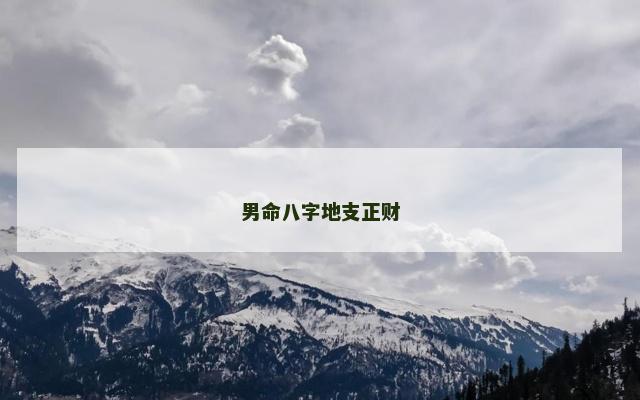 男命八字地支正财