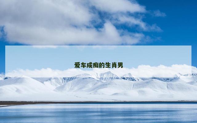 爱车成痴的生肖男