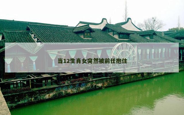 当12生肖女突然被前任抱住