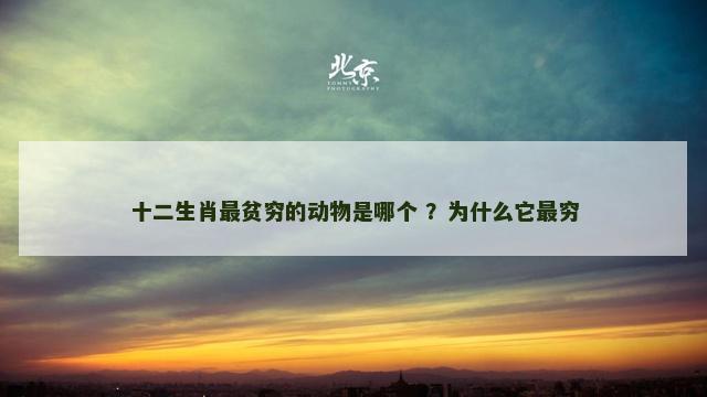 十二生肖最贫穷的动物是哪个 ？为什么它最穷