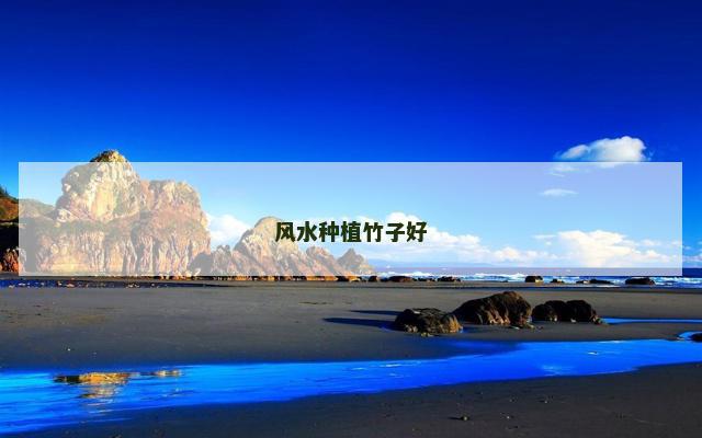 风水种植竹子好