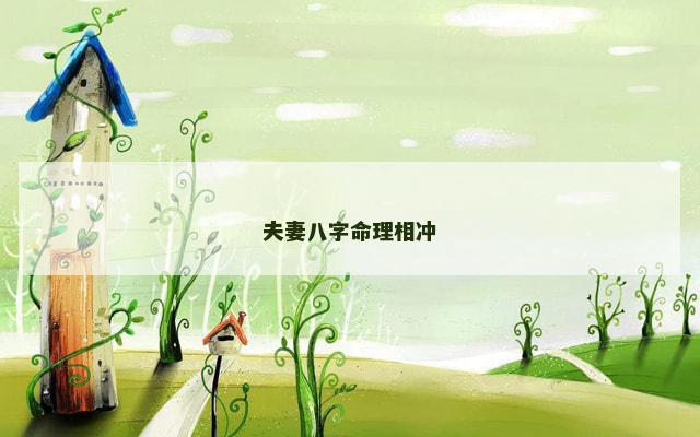 夫妻八字命理相冲