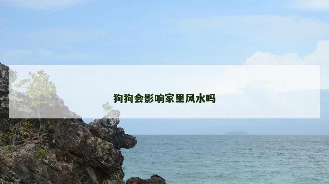 狗狗会影响家里风水吗