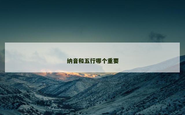 纳音和五行哪个重要