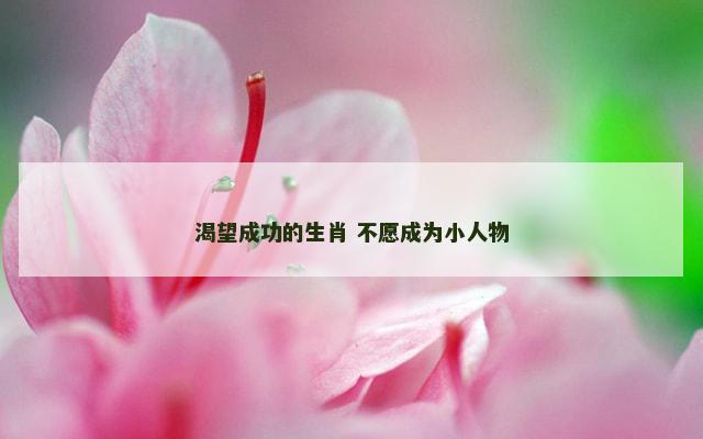 渴望成功的生肖 不愿成为小人物
