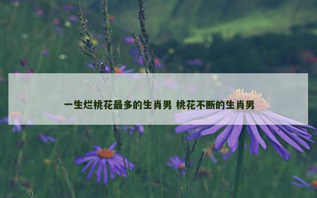 一生烂桃花最多的生肖男 桃花不断的生肖男