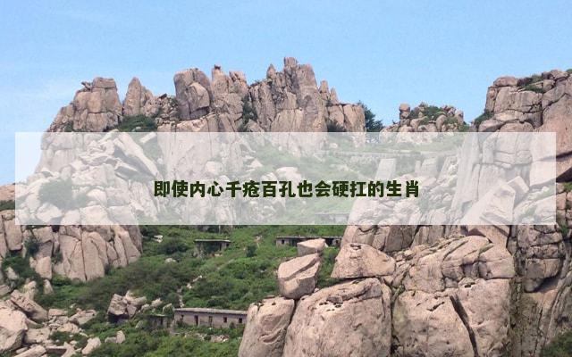即使内心千疮百孔也会硬扛的生肖