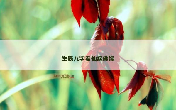 生辰八字看仙缘佛缘