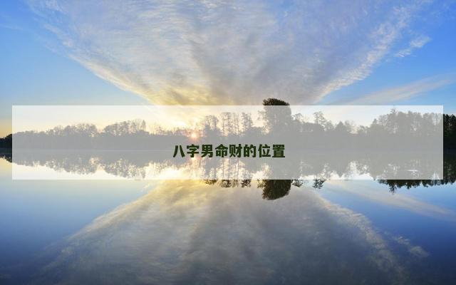 八字男命财的位置
