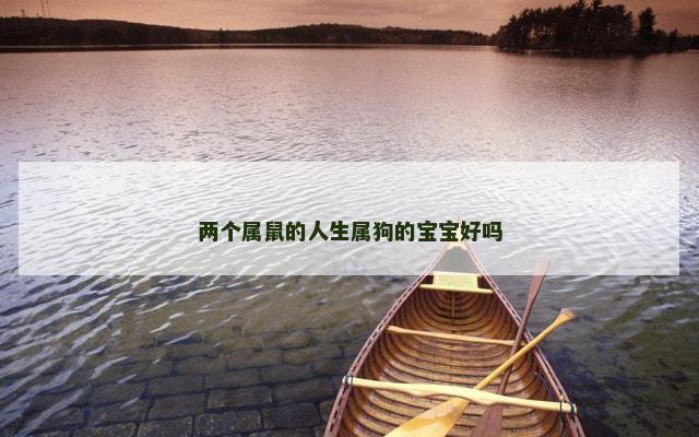 两个属鼠的人生属狗的宝宝好吗