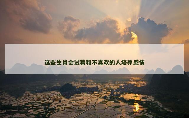 这些生肖会试着和不喜欢的人培养感情