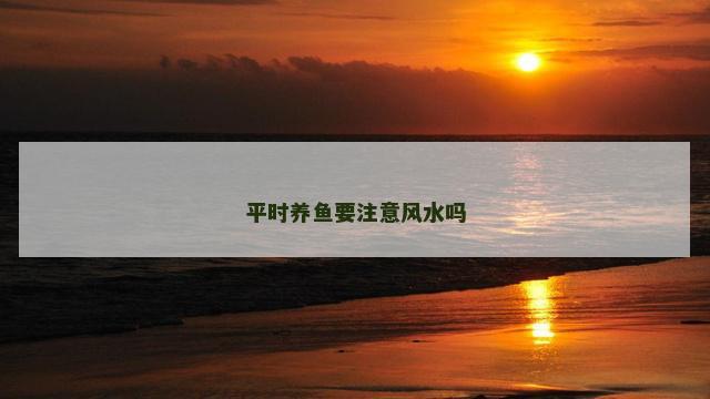平时养鱼要注意风水吗