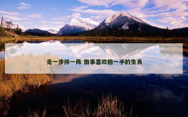 走一步停一阵 做事喜欢稳一手的生肖