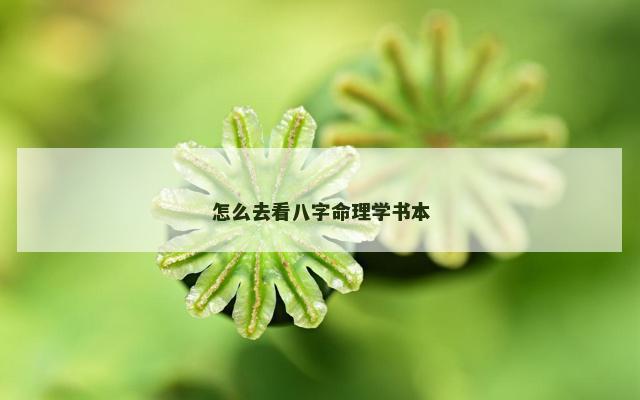 怎么去看八字命理学书本