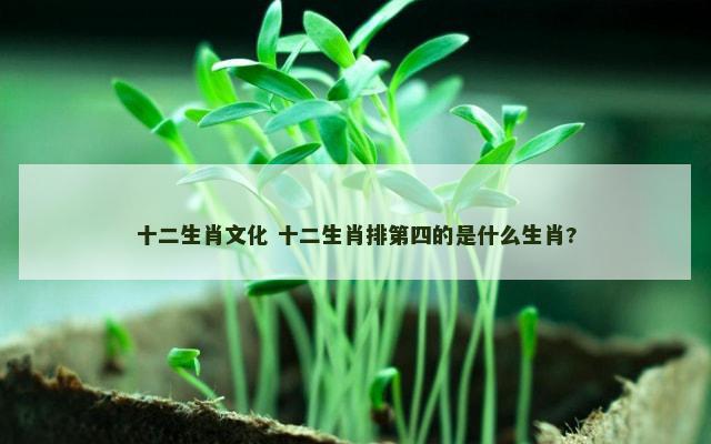十二生肖文化 十二生肖排第四的是什么生肖?