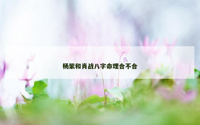 杨紫和肖战八字命理合不合