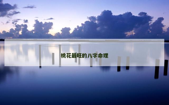 桃花最旺的八字命理