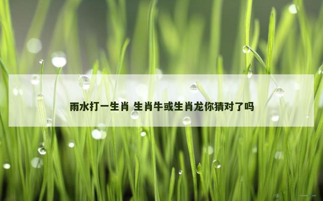 雨水打一生肖 生肖牛或生肖龙你猜对了吗