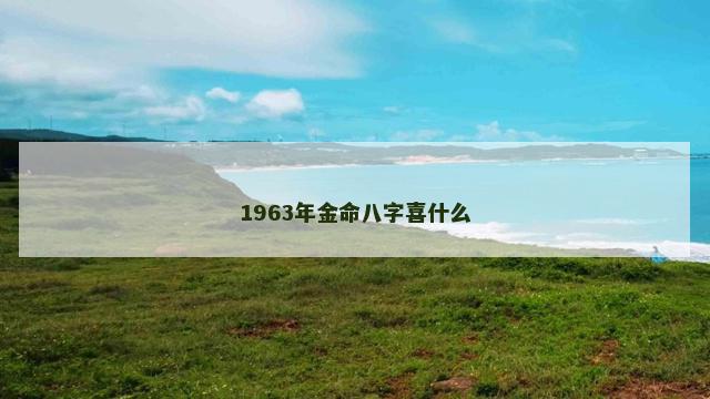 1963年金命八字喜什么