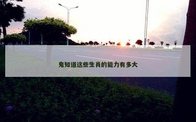 鬼知道这些生肖的能力有多大