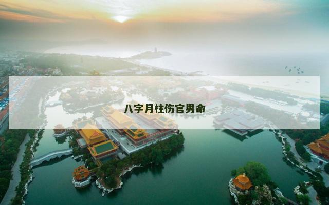 八字月柱伤官男命