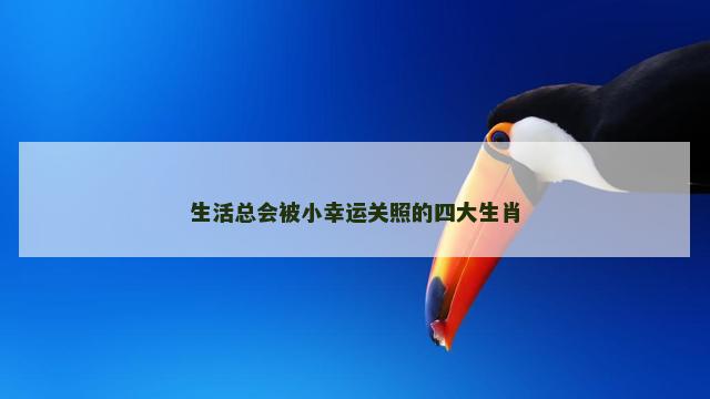 生活总会被小幸运关照的四大生肖