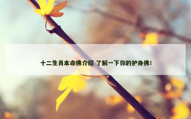 十二生肖本命佛介绍 了解一下你的护身佛！