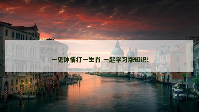一见钟情打一生肖 一起学习涨知识！