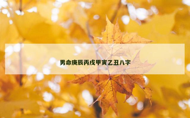 男命庚辰丙戌甲寅乙丑八字
