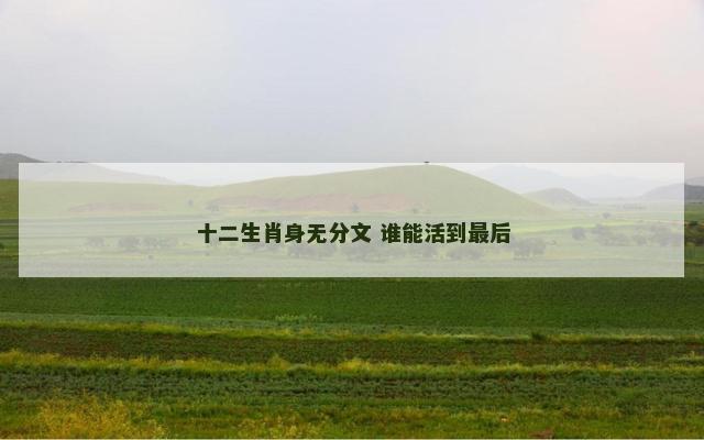 十二生肖身无分文 谁能活到最后