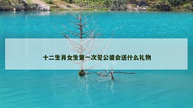 十二生肖女生第一次见公婆会送什么礼物