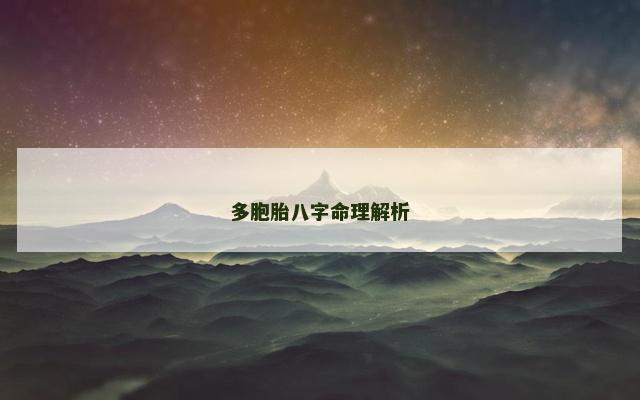 多胞胎八字命理解析