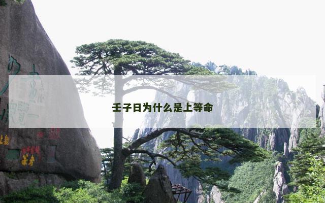 壬子日为什么是上等命