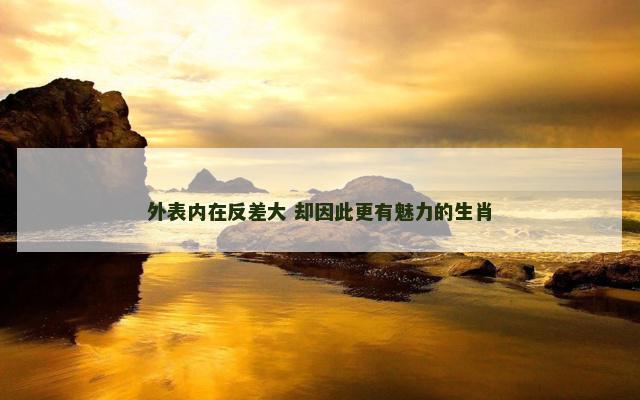 外表内在反差大 却因此更有魅力的生肖