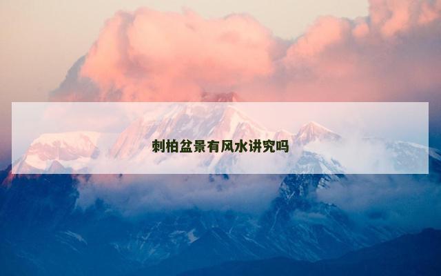 刺柏盆景有风水讲究吗