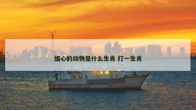 细心的动物是什么生肖 打一生肖