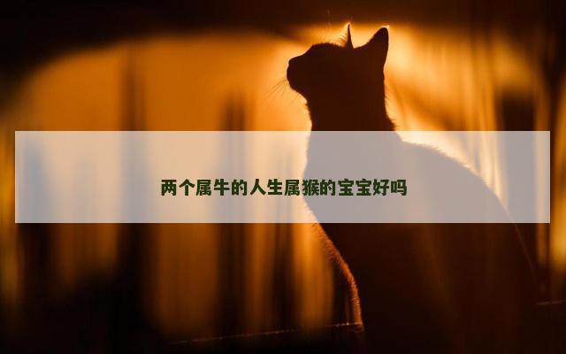 两个属牛的人生属猴的宝宝好吗