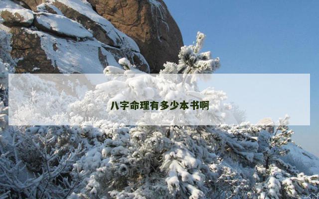 八字命理有多少本书啊