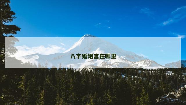 八字婚姻宫在哪里