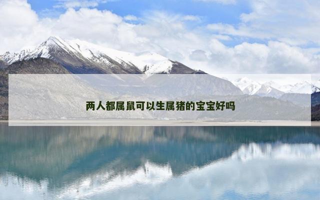 两人都属鼠可以生属猪的宝宝好吗