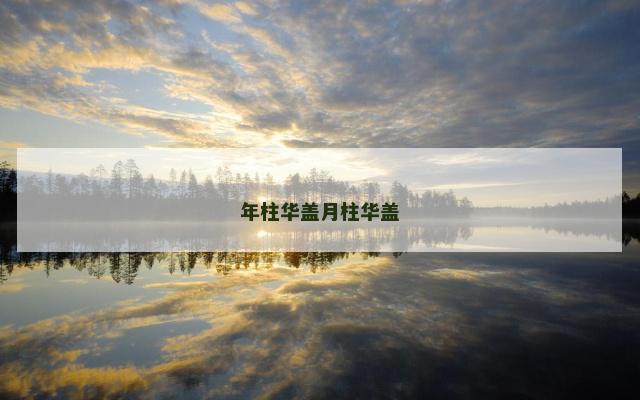 年柱华盖月柱华盖
