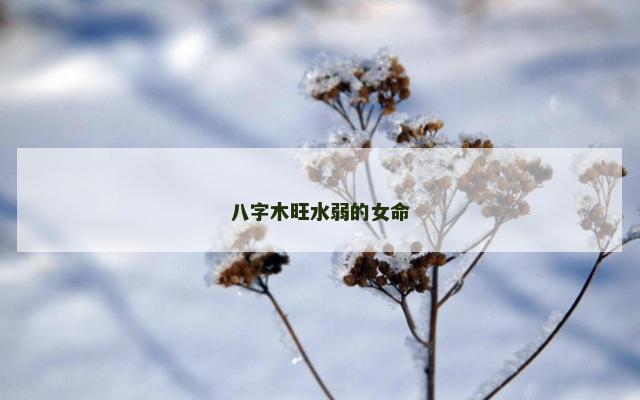 八字木旺水弱的女命