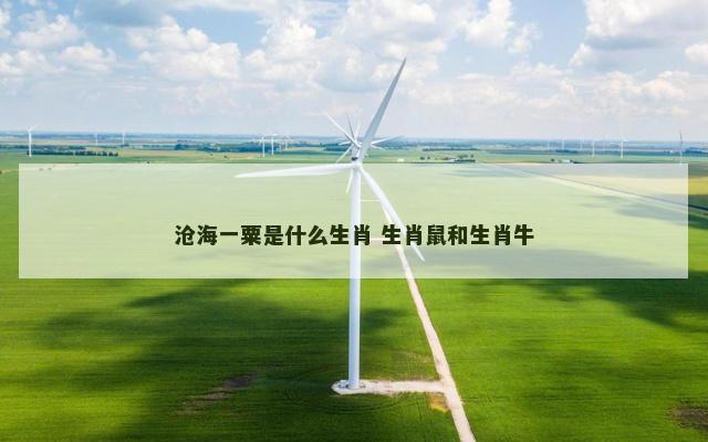 沧海一粟是什么生肖 生肖鼠和生肖牛