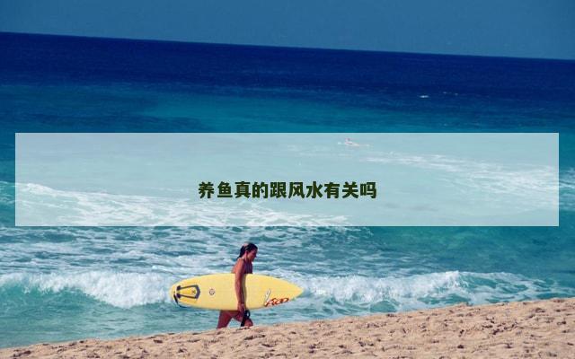 养鱼真的跟风水有关吗