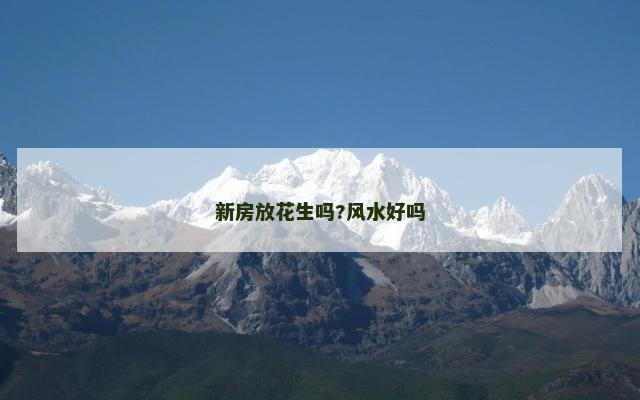 新房放花生吗?风水好吗