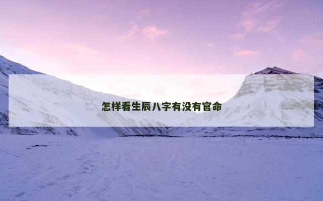 怎样看生辰八字有没有官命
